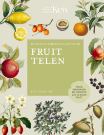 'Fruit Telen' - Kay Maguire