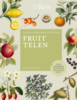 &#039;Fruit Telen&#039; - Kay Maguire