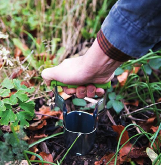 Bollenplanter