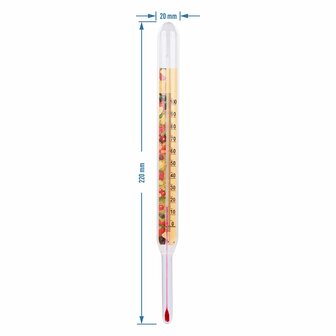 Vloeistof thermometer 22cm
