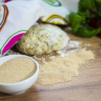 Gedroogde bakkersgist 100 g