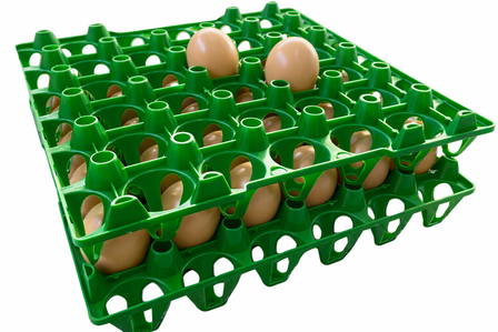 Eiertray voor 30 eieren