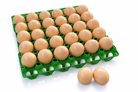 Eiertray voor 30 eieren