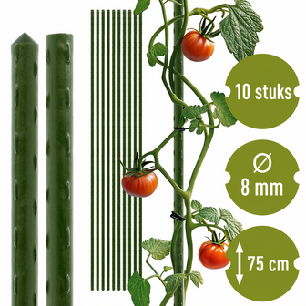 Bioogr&oacute;d tuinpalen - gecoat staal, 0,75 m, &Oslash;8 mm, 10 stuks