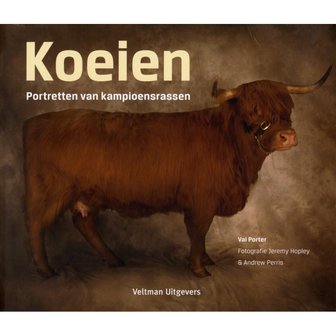 &#039;Koeien&#039;- Val Porter