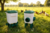 Drinker 7,5 Liter + Feeder 5 kg &ndash; Complete Voer- en Drinkset voor Kippen