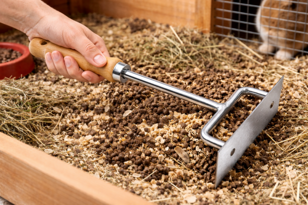 Natuurlijker leven mestkrabber