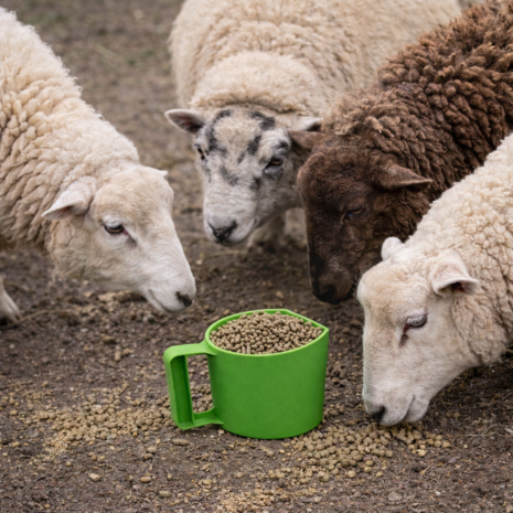 Natuurlijker leven voerschep 1kg (bekermodel) GROEN
