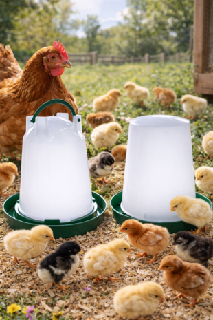 Kuiken drink en voersilo  1 liter