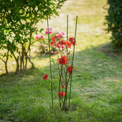 Steunringen voor tuinplanten, 4 ringen, 1 meter