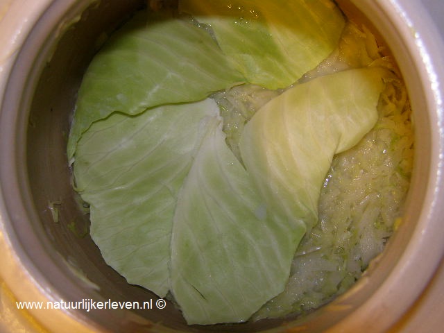 Making sauerkraut