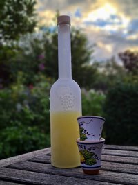 Recept voor 3 liter overheerlijke zelfgemaakte limoncello!