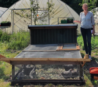 Workshop Kippen slachten