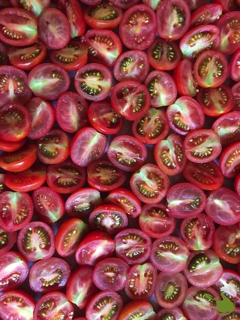 Tomatensoep zonder water!