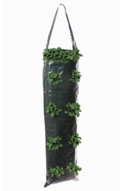 Hangende planten groeizak 