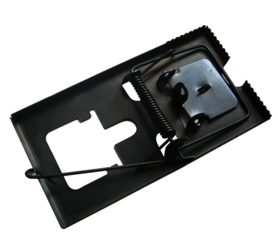 Muizenval van metaal