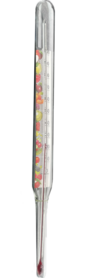 Vloeistof thermometer 22 cm