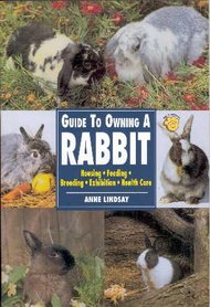 'Guide to owning a Rabbit' Anne Lindsay
